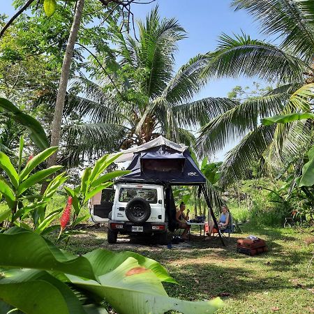 La Munequita Lodge 1 - Culture & Nature Experience Palmar Norte Экстерьер фото