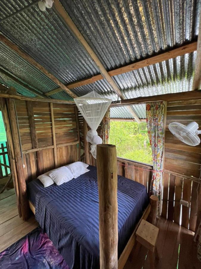 La Munequita Lodge 1 - Culture & Nature Experience Palmar Norte Экстерьер фото